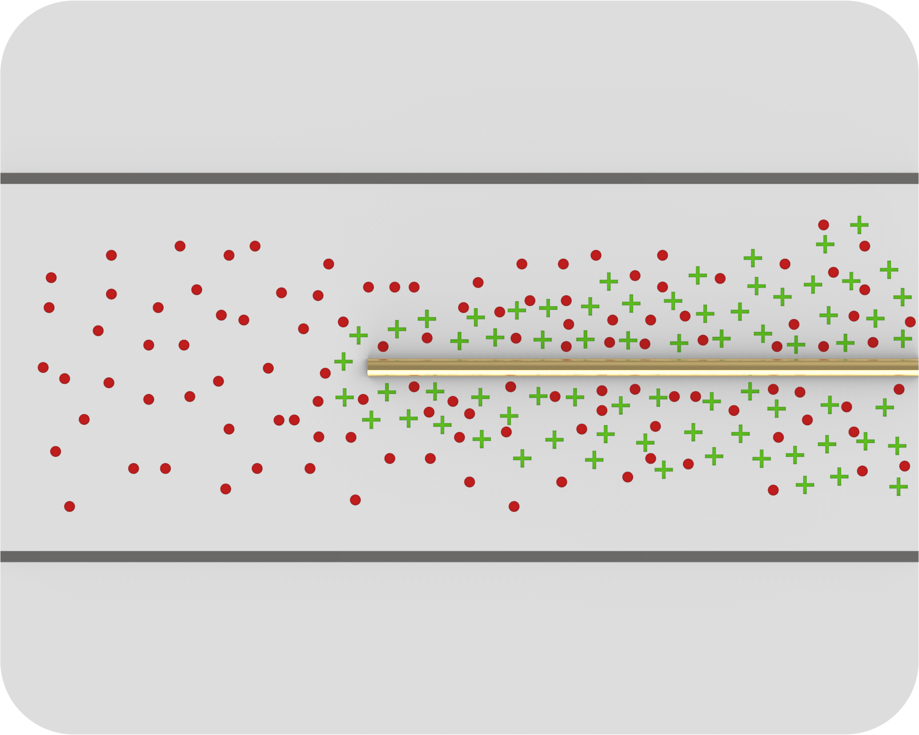 10011 英迈仪器(Instrumax)-电雾式检测器(CAD)-电喷雾检测器-液相色谱-检测原理示例图